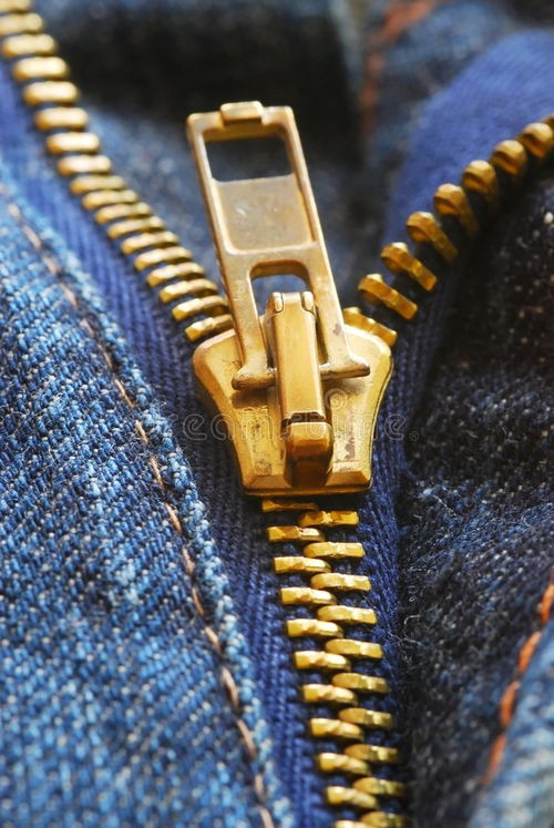 拉链 下载 100,007 免版税图像